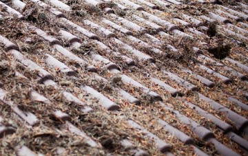 Foredale roof cleaning companies