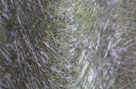 Foredale fibreglass roof work